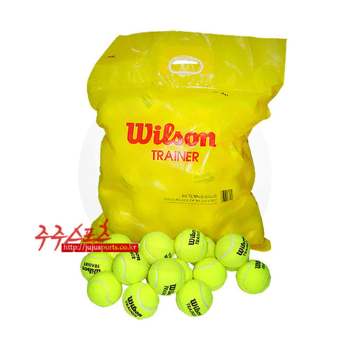 윌슨 트레이너볼 테니스연습공 60개 테니스볼 연습볼 WRT132200